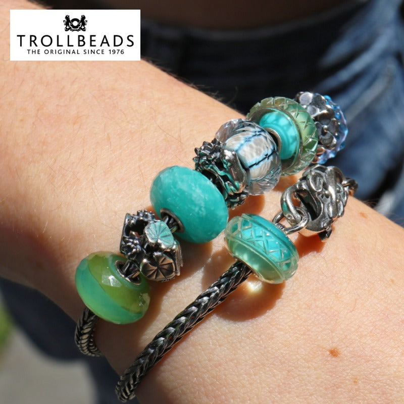 Collection Video Image