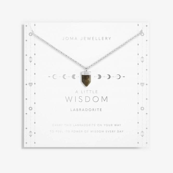 Affirmation Crystal A Little 'Wisdom' Necklace 5680