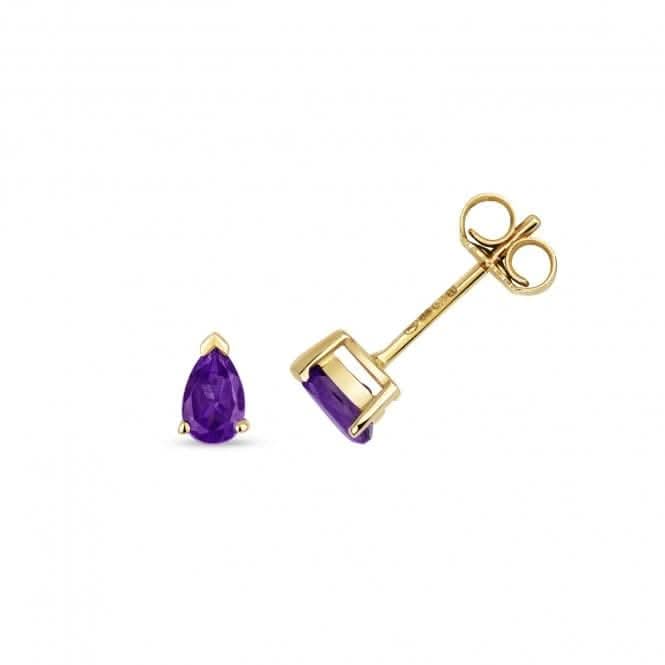 Amethyst Claw Set Stud Earrings ED244A