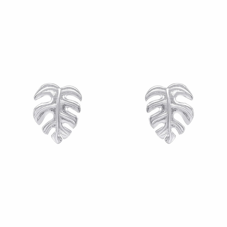 Beginnings Sterling Silver Earrings E6499