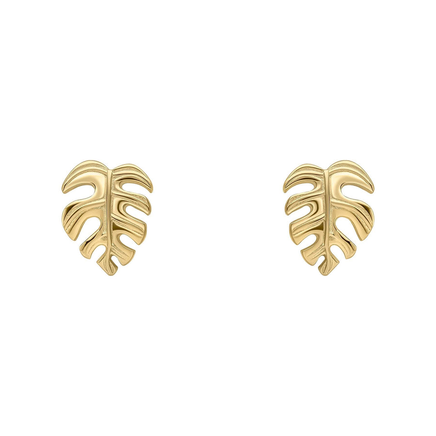 Beginnings Sterling Silver Earrings E6500