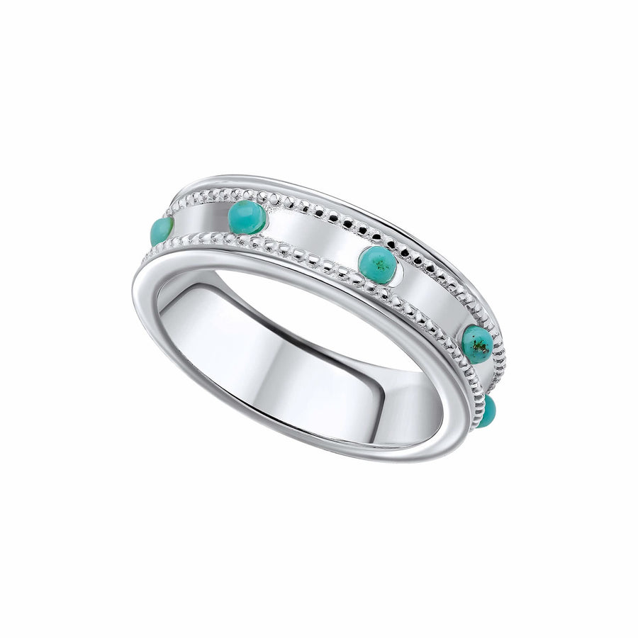 Beginnings Sterling Silver Turquoise Spinner Ring R3901T