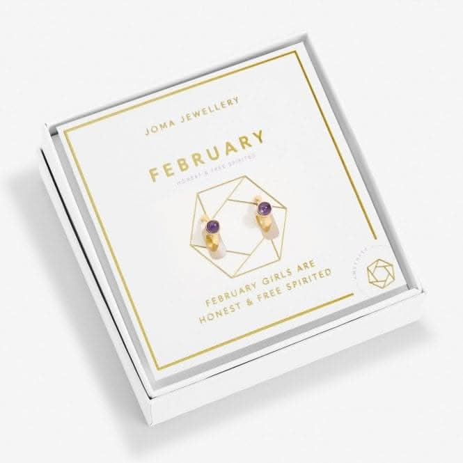 Birthstone Hoop Earring February Gold Plated Earrings 6748