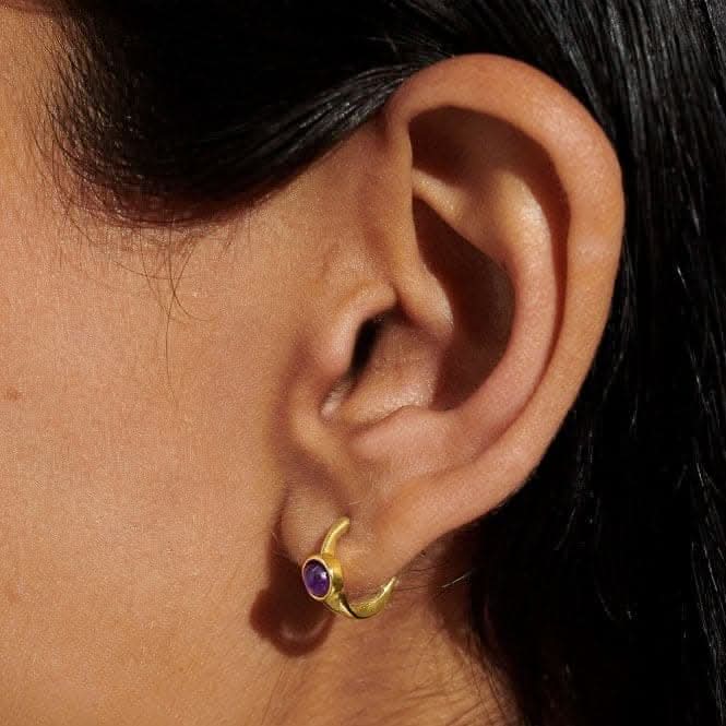 Birthstone Hoop Earring February Gold Plated Earrings 6748