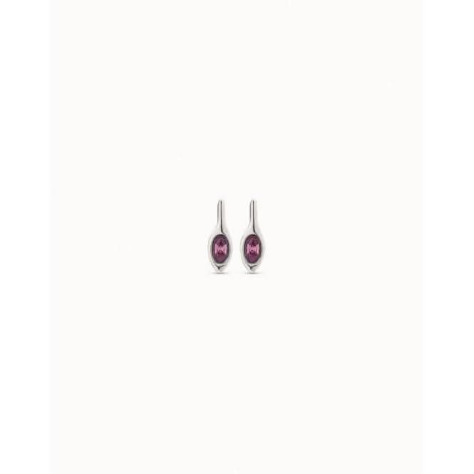 Blossom Purple Faceted Crystal EarringsUNOde50PEN0845IRIMTL0U