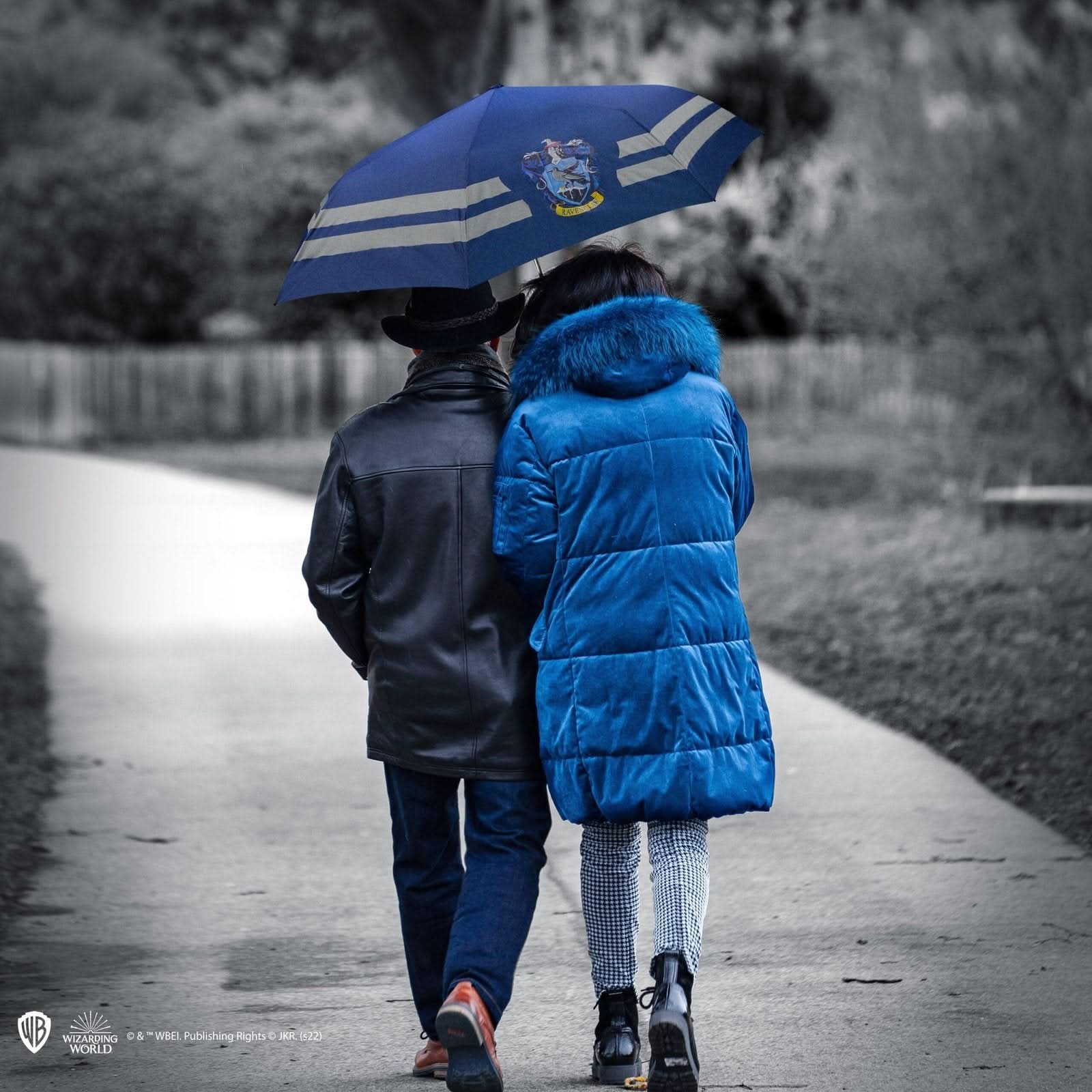 Harry Potter Umbrella Harry Potter - Ravenclaw Logo CR2003