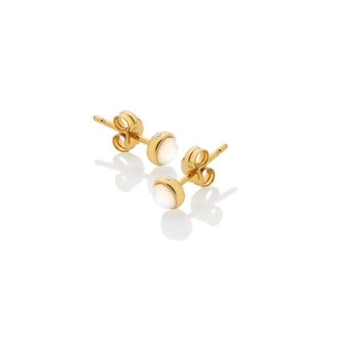 Calm Mother of Pearl Stud Earrings DE755