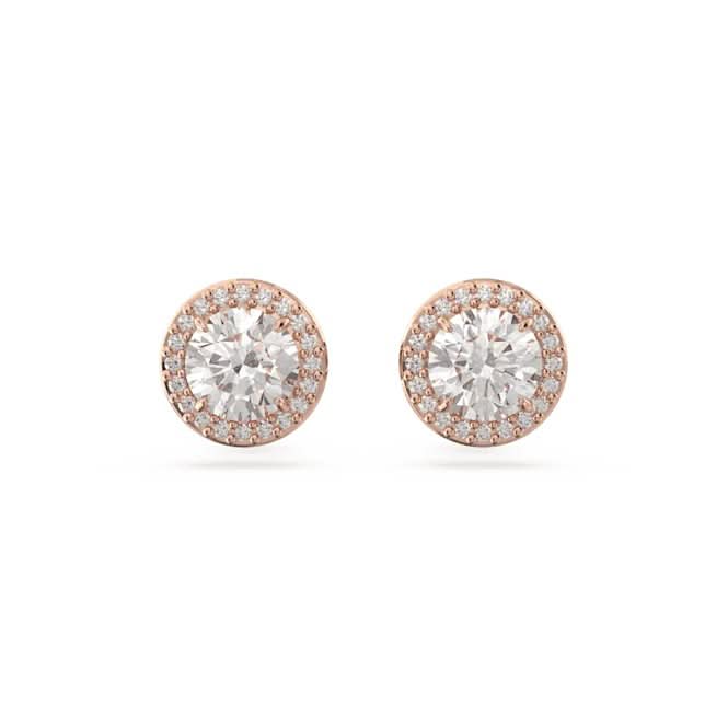 Constella Stud Round Cut Pavé White Rose Gold-tone Plated Earrings 5636275