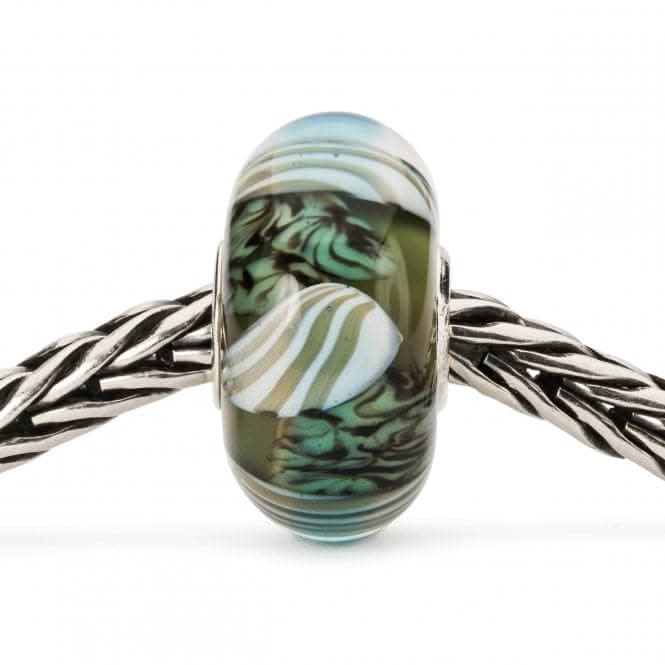 Curious Clams Glass Bead TGLBE-20280