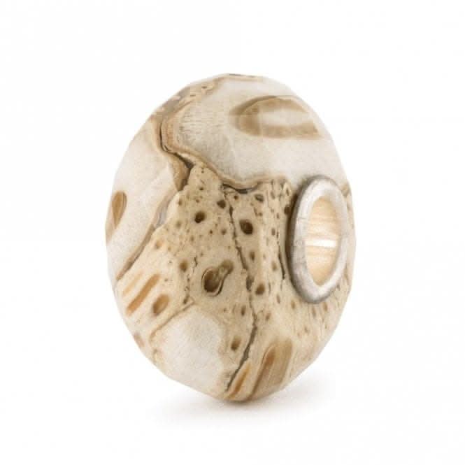 Fossilised Wood Bead TSTBE-20042