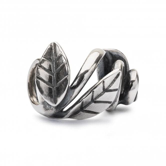 Framed by Nature Silver Bead TAGBE-20210