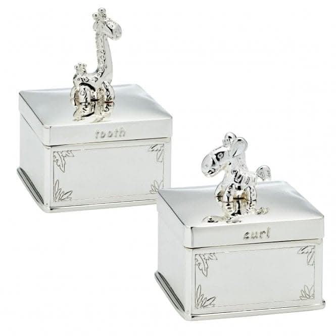 Giraffe and Zebra Tooth and Curl Boxes Y423