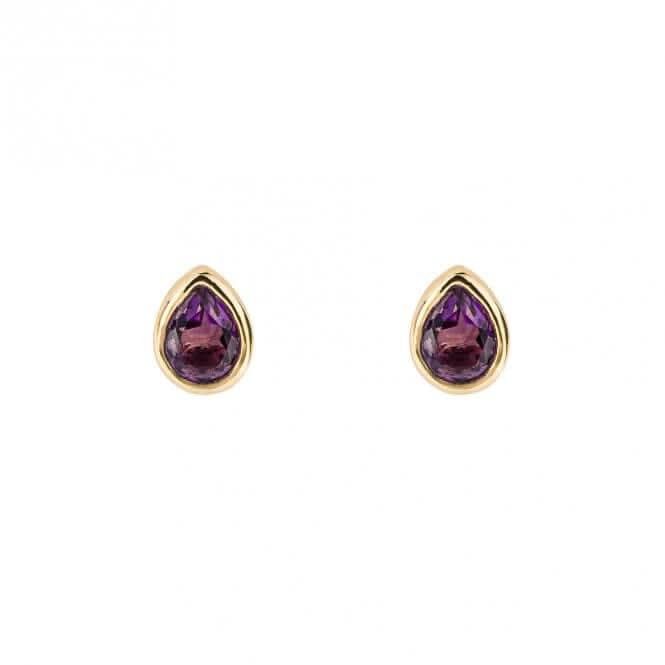 Gold Plated Birthstone February Amethyst Earrings E6203BeginningsE6203