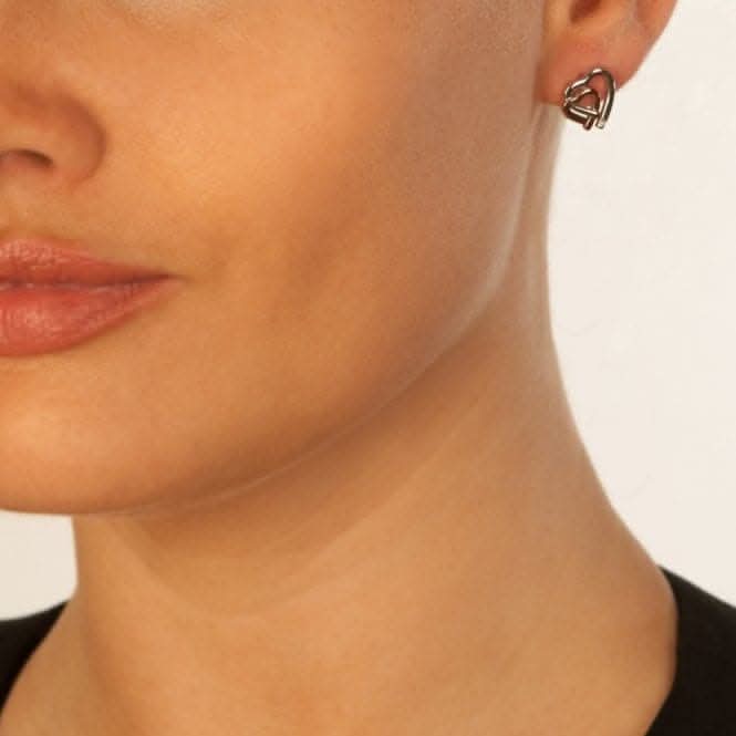 Hot Diamonds Amore Hearts Earrings DE532Hot DiamondsDE532