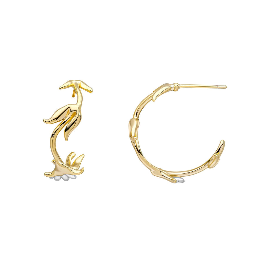 Laura Ashley Camelot Hoop Earrings E6524