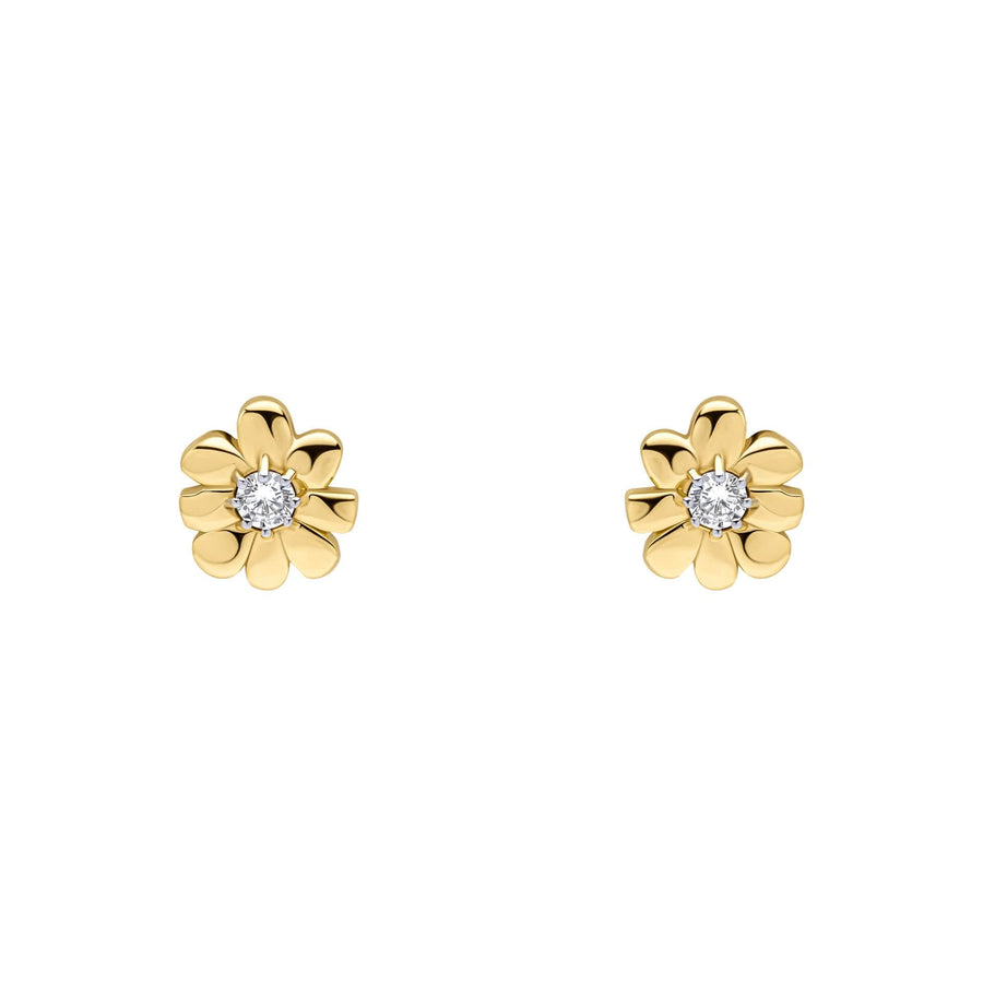 Laura Ashley Cosmos Gold Tone Flower Earrings E6521C