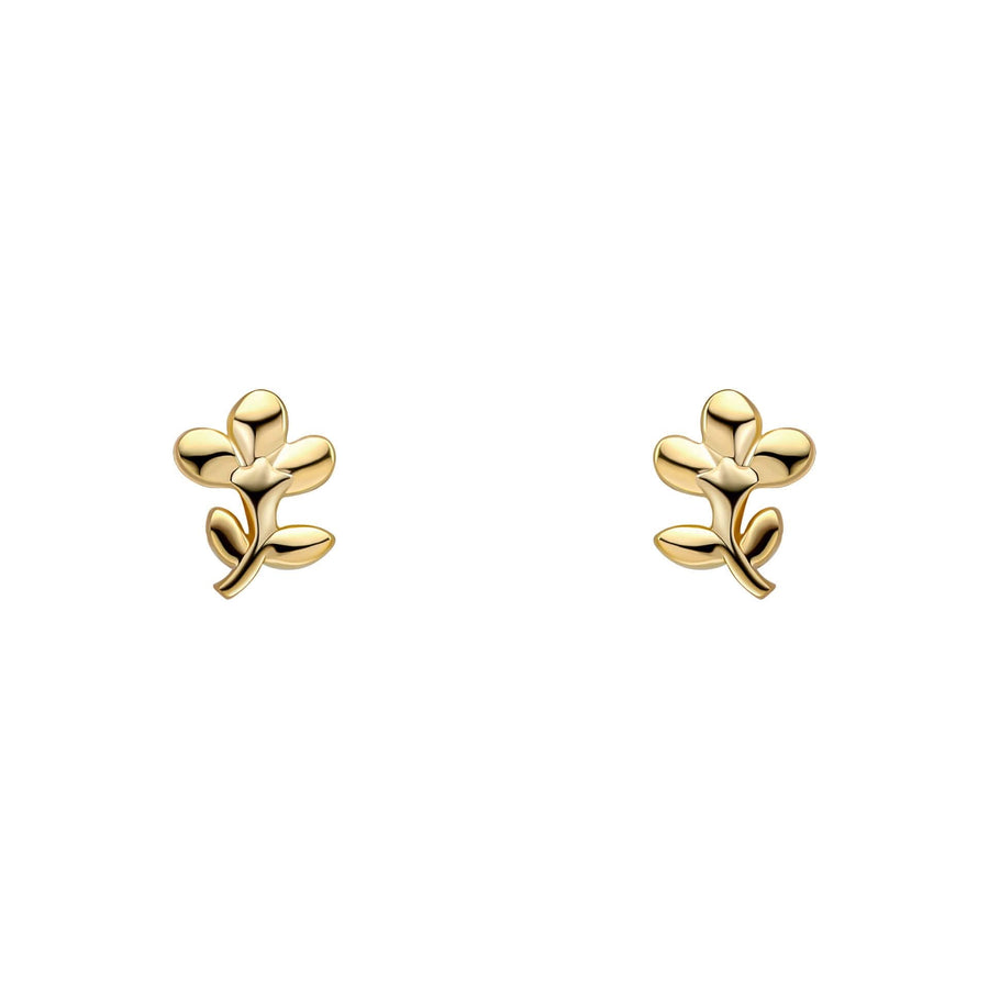 Laura Ashley Gold Plated Mini Albertine Rose Earrings E6514