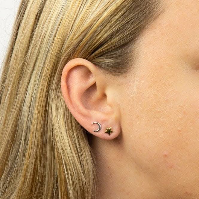 Moon and Star Stud Earrings E6008