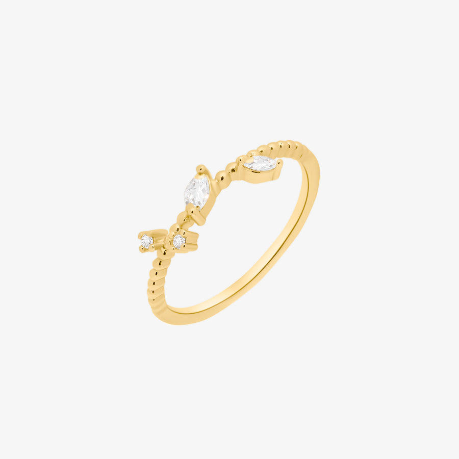 Simple Cubic Branch Ring