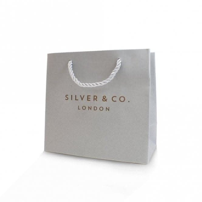 Silver & Co Exclusive Luxury Gift Bag SXX0006