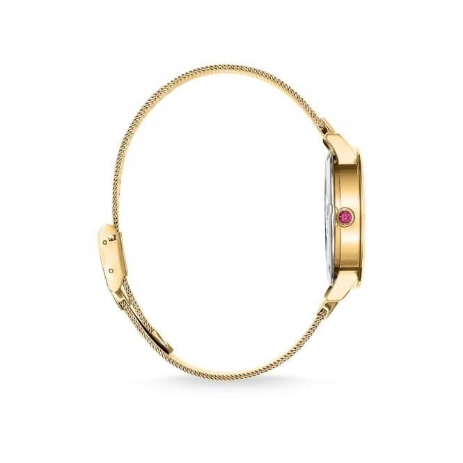 Stainless Steel Green Kaleidoscope Women's Watch WA0369-264-211