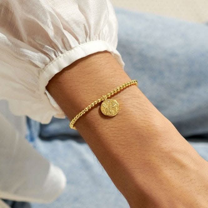 Star Sign A Little Gemini Gold Plated 17.5cm Stretch Bracelet 6794
