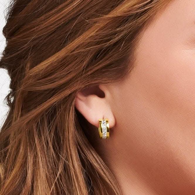 Sterling Silver Gold Plated White Pavé Stones Earrings CR670-414-14