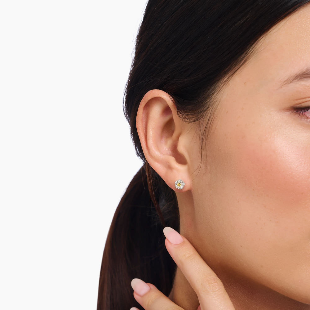 Sterling Silver Lovely Daisy Small Studs H2297-051-4