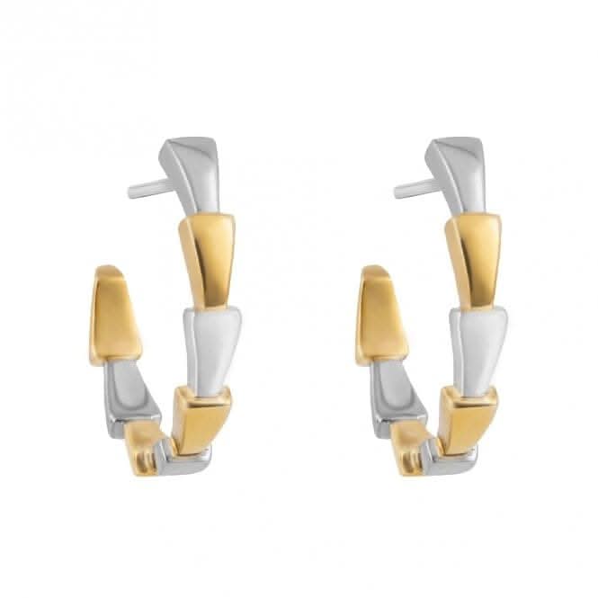 Fiorelli Silver Platinum Gold Earrings E6357