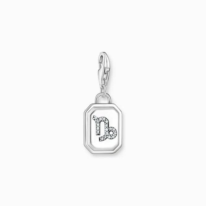 Sterling Silver Zirconia Zodiac Sign Capricorn Charm 2152-643-21