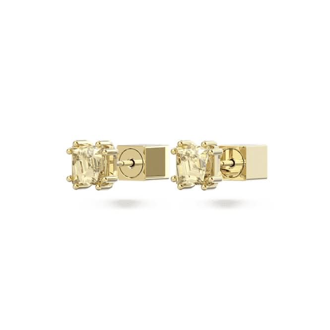 Stilla Stud Yellow Gold - tone Plated Earrings 5639124Swarovski5639124