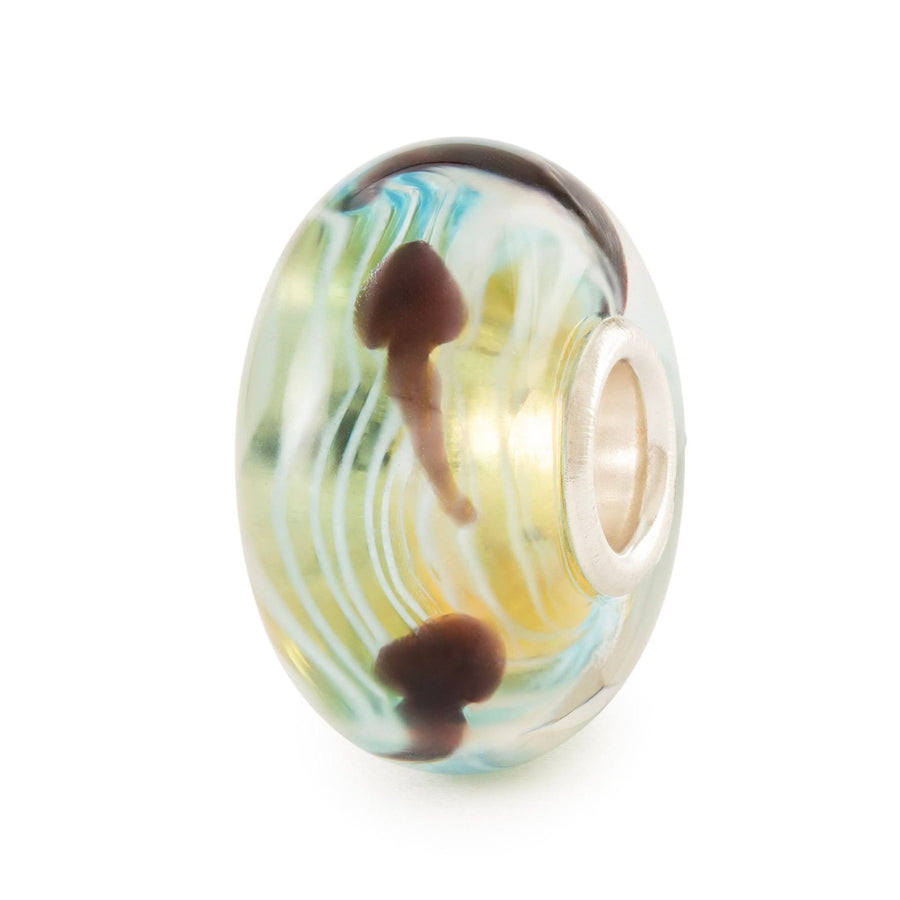 Tadpole's Journey  Glass Bead TGLBE-20447