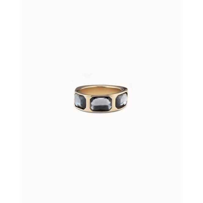 The Guardian Grey Faceted Crystal Ring ANI0766GRSORO