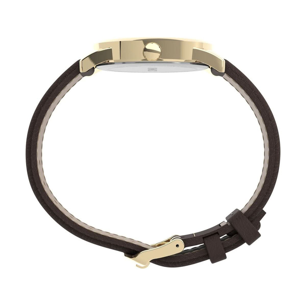 Timex Gents Easy Reader Gold-Tone Watch TW2P75800