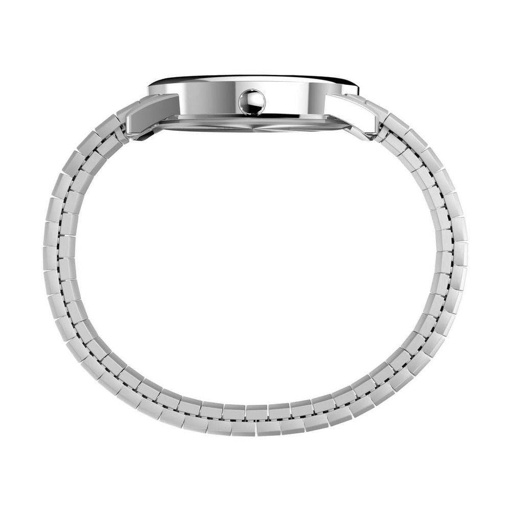 Timex Gents Easy Reader Silver Watch T20031