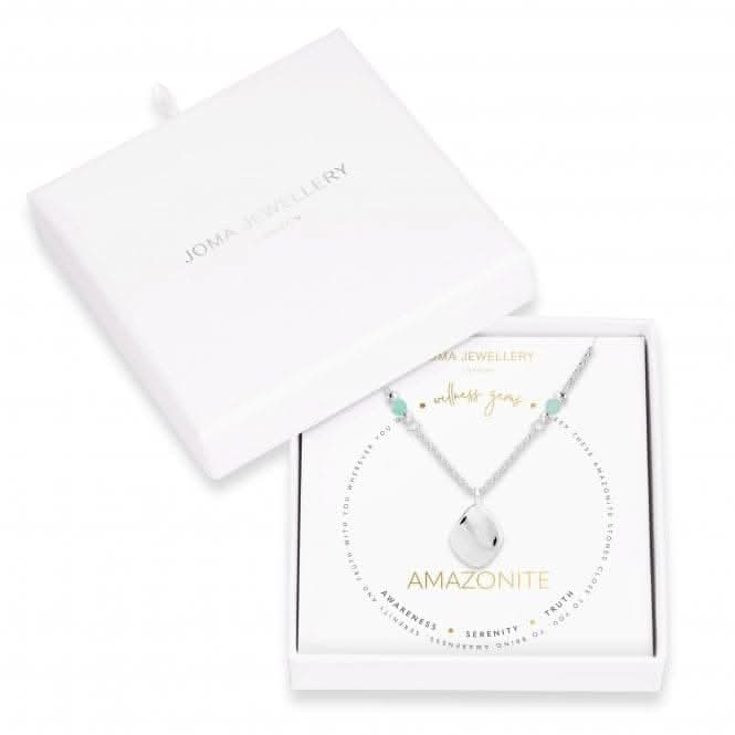 Wellness Gems Silver Amazonite 45cm + 5cm Extender Necklace 4229