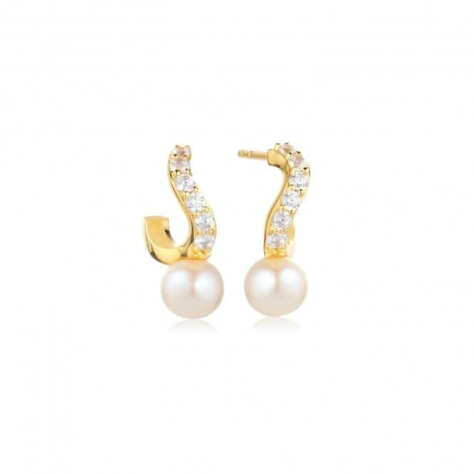 White Zirconia Ponza Creolo Piccolo Earrings SJ-E12350-PCZ-YG