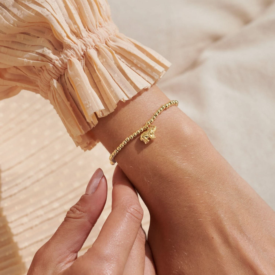 Golden Grace: The Elephant Charm Bracelets You’ll Treasure Forever