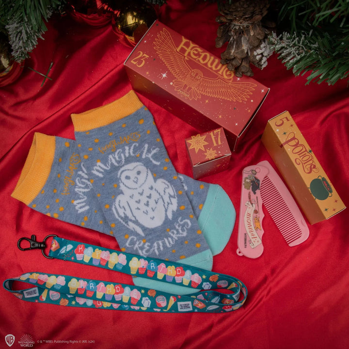 Harry Potter Deluxe Advent Calendar 2024 CR2106