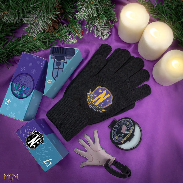 Wednesday Deluxe Advent Calendar 2024 CR2074