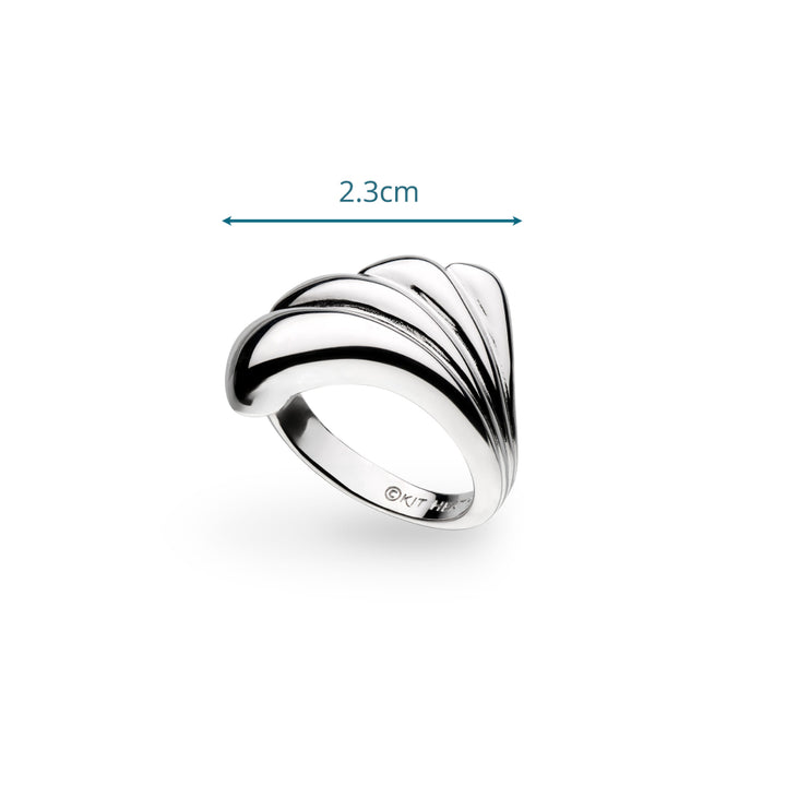 Silver ring with measurement on a white background