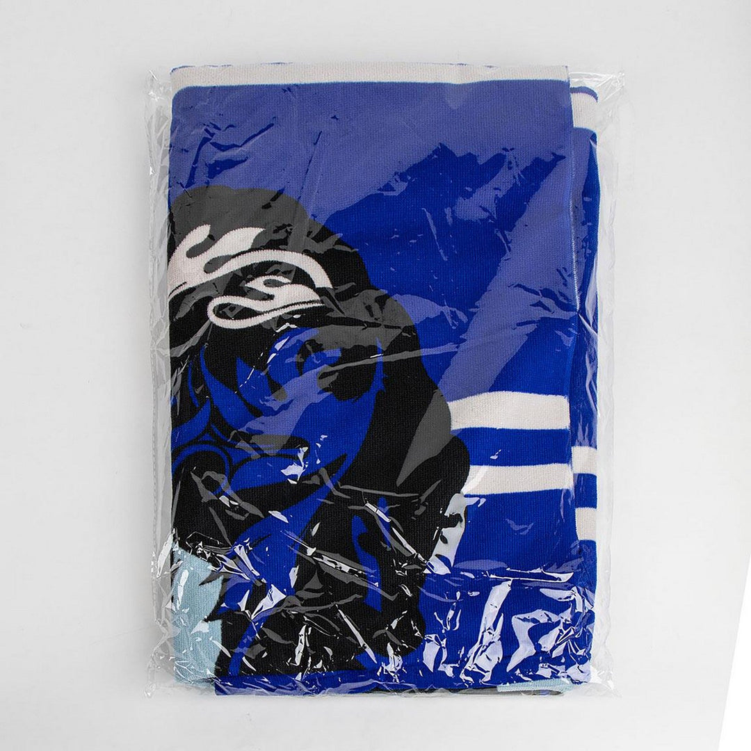 Harry Potter Towel Polyester Ravenclaw Blue 2200010396