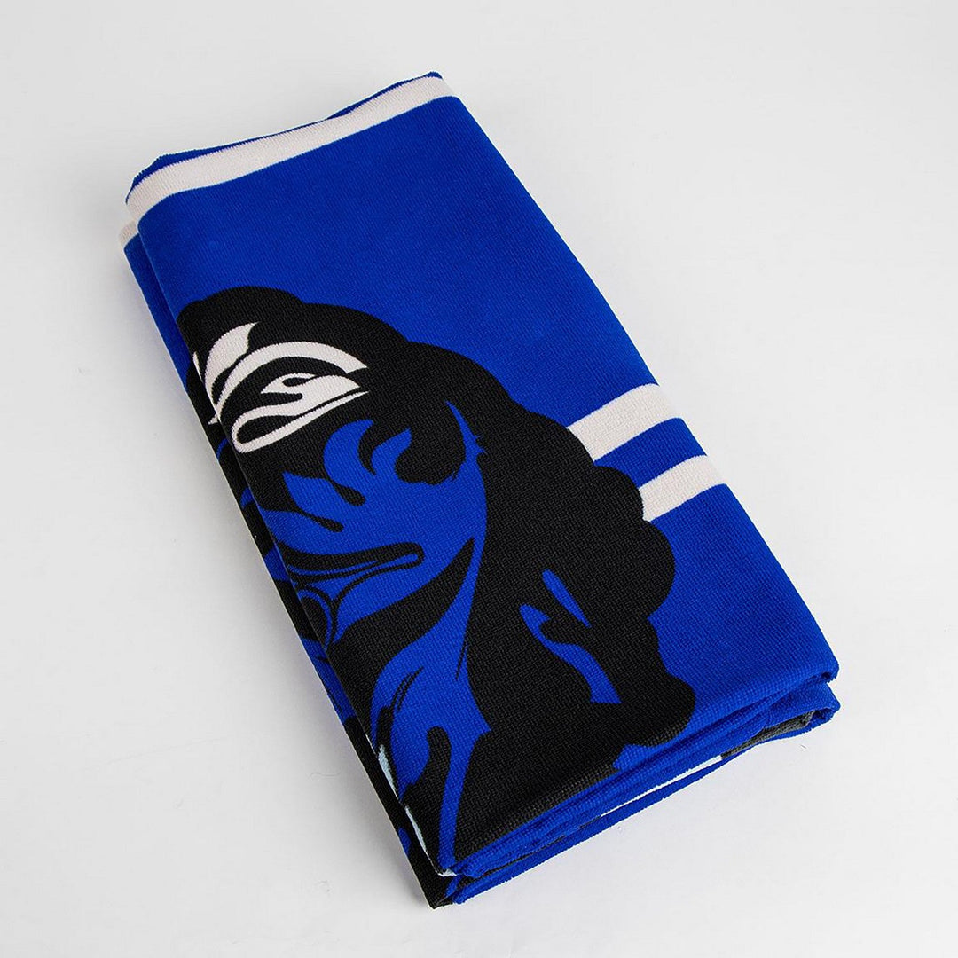 Harry Potter Towel Polyester Ravenclaw Blue 2200010396