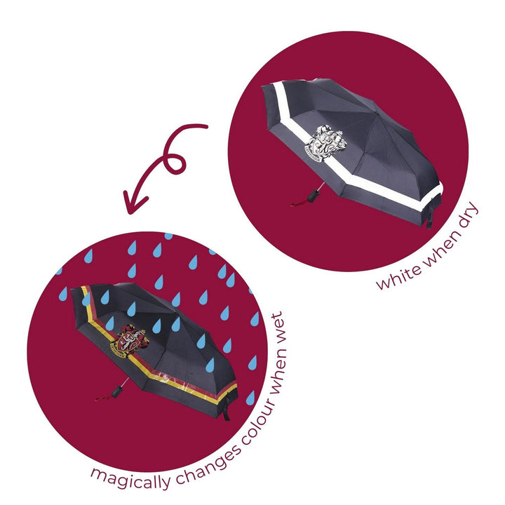 Harry Potter Umbrella Automatic Change Color 2400000676