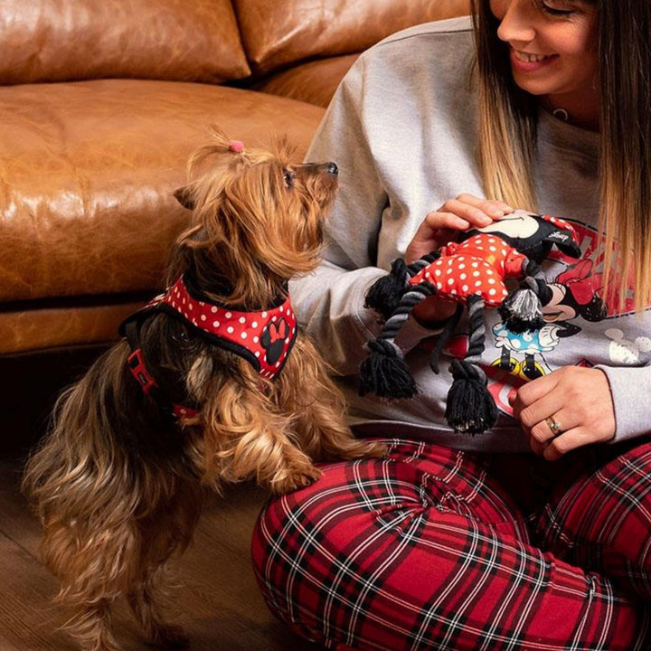 Disney Mickey & Minnie Dog Toys Rope Mouse Red 2800000445