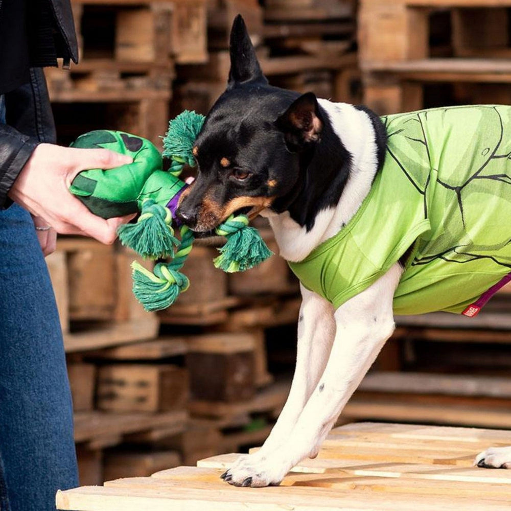 Marvel Dog Toys Rope Avengers Green 2800000489