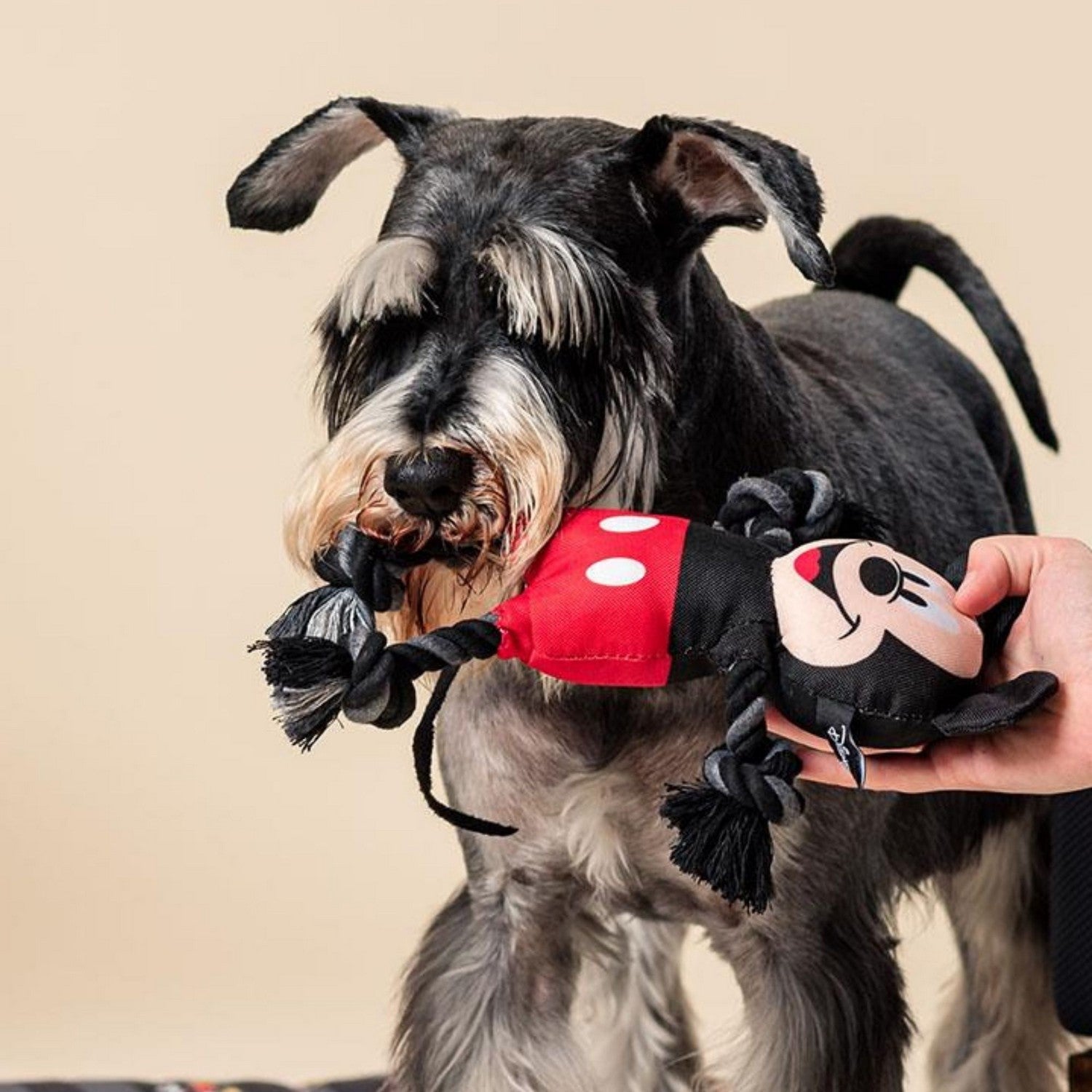 Disney Mickey & Minnie Dog Toys Rope Mouse 2800000680