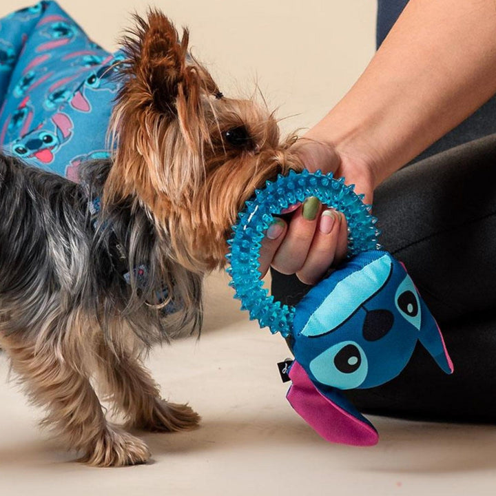 Disney Dog Teething Stitch Blue Ring 2800000688