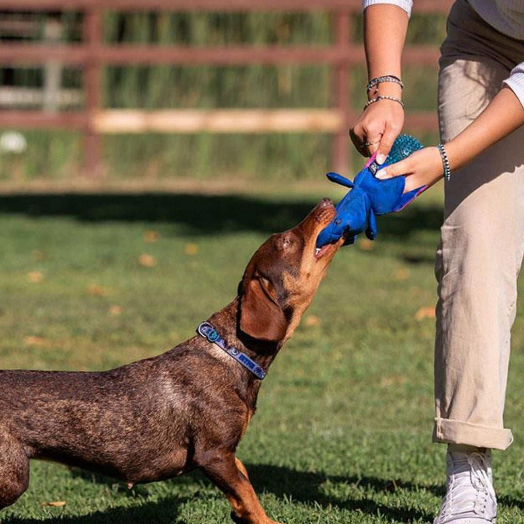 Disney Dog Toys Ball Stitch Blue 2800000712