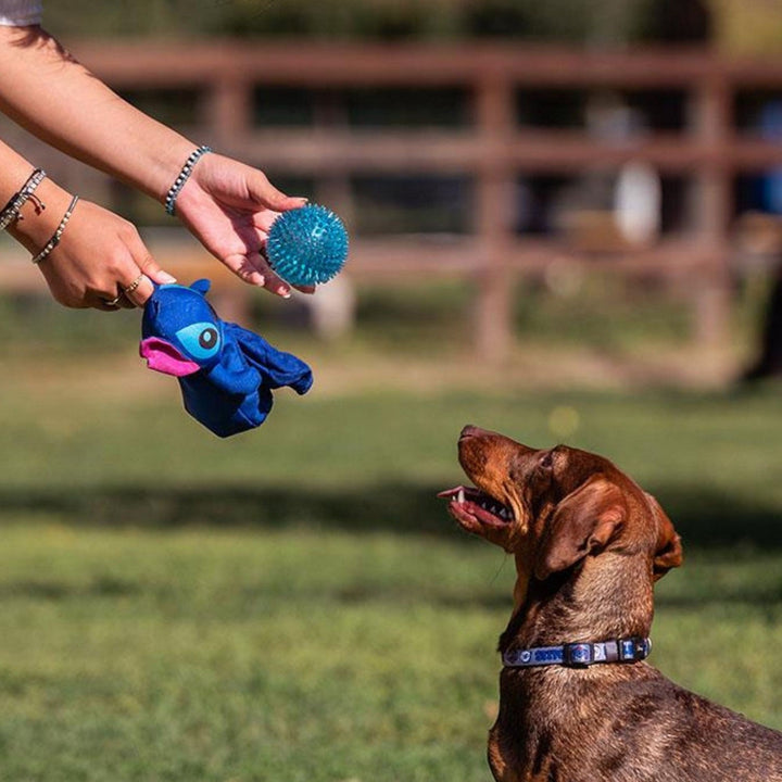 Disney Dog Toys Ball Stitch Blue 2800000712